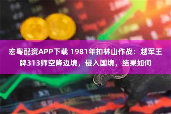 宏粤配资APP下载 1981年扣林山作战：越军王牌313师空降边境，侵入国境，结果如何