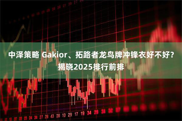 中泽策略 Gakior、拓路者龙鸟牌冲锋衣好不好？揭晓2025排行前排