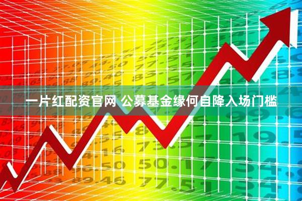 一片红配资官网 公募基金缘何自降入场门槛