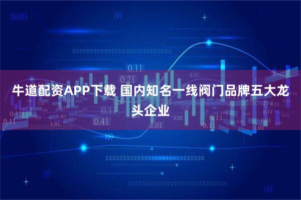 牛道配资APP下载 国内知名一线阀门品牌五大龙头企业