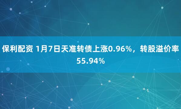 保利配资 1月7日天准转债上涨0.96%，转股溢价率55.94%