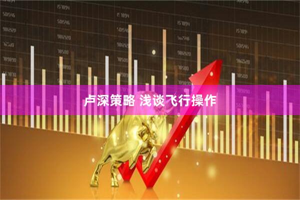 卢深策略 浅谈飞行操作