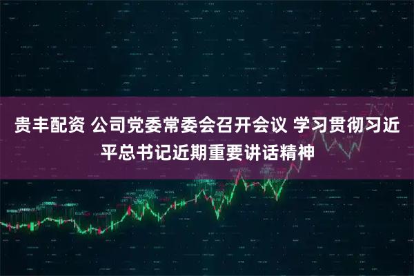 贵丰配资 公司党委常委会召开会议 学习贯彻习近平总书记近期重要讲话精神