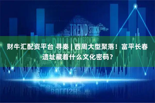 财牛汇配资平台 寻秦 | 西周大型聚落！富平长春遗址藏着什么文化密码？